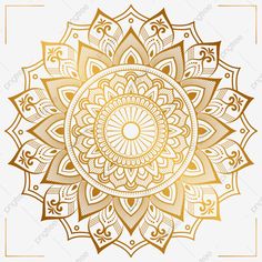 a gold and white floral design on a white background, flower, pattern png and psd