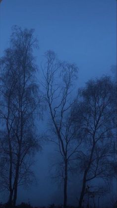 trees are silhouetted against the blue sky in this foggy night scene with no leaves on them