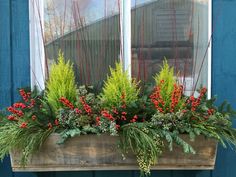 a window box filled with red berries and greenery in front of a blue building