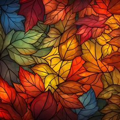 an image of colorful leaves on the glass wallpapers that are in different colors