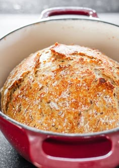 a red pot filled with food sitting on top of a counter