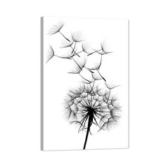 PRICES MAY VARY. 🖼 The dandelion art work Fit various colors wall decor Size - 1 Panel canvas prints Dandelion Plant Painting picture for modern wall decor, The stretched canvas and frame dimensions are 12x18 Inches (30cmx45cmx1pcs) Please measure your place size before purchase. 🌼 Fluttering Dandelion by Péchane canvas art arrives ready to hang, with hanging accessories included and no additional framing required. Every canvas print is hand-crafted in the USA, made on-demand at TIMUBA and exp Dried Flower Tattoo, Sketches Of Leaves, St Michael The Archangel Tattoo, Scandinavian Gallery Wall, Paint On Clothes, Bedroom Gallery Wall, Archangel Tattoo, Dandelion Painting, Mini Toile