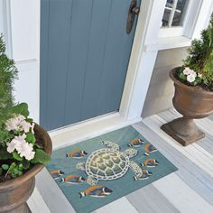 two potted plants on the front porch with a turtle door mat next to them