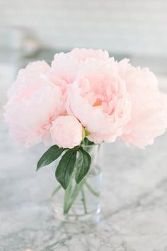 a pink flower in a glass vase on a marble table with water droplets around it