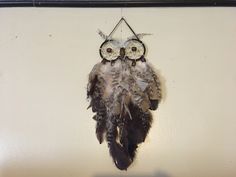 an owl is hanging on the wall with feathers