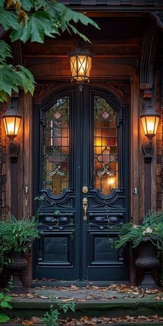 a black front door with two lights on each side and plants in the foreground