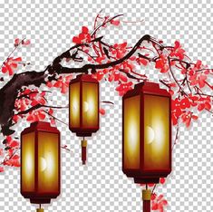 three lanterns hanging from a tree with red flowers