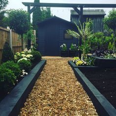 an outdoor garden area with gravel and plants