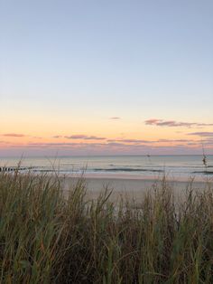 the beach is covered in tall grass as the sun sets