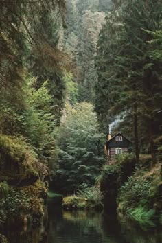 a small cabin in the middle of a forest next to a body of water with trees around it