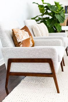 a living room filled with furniture and a potted plant on the side of the couch