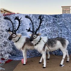 two stuffed reindeers standing next to each other in front of a christmas backdrop with trees