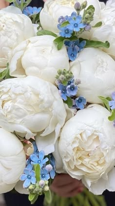 a bouquet of white and blue flowers in someone's hand