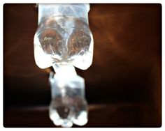 an animal statue made out of ice cubes sitting on top of a wooden table