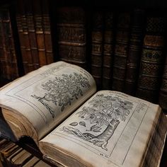 an open book sitting on top of a wooden table in front of bookshelves