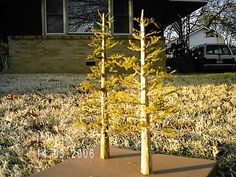 three small trees in front of a house