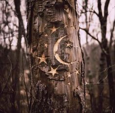 a tree that has been carved to look like the moon and stars are on it