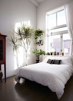 a white bed sitting under a window next to a potted plant in a bedroom