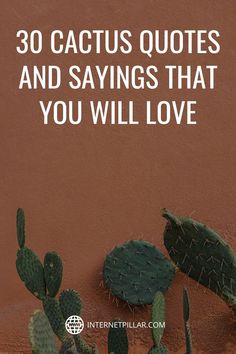 two cactus plants with the words 30 cactus quotes and sayings that you will love