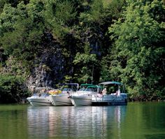 three boats are docked in the water near some trees