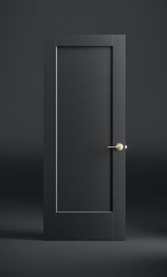 black lincoln park interior door Modern Interior Doors Black, Colors For Inside The House, Black Modern Interior Doors, Matte Black Doors Interior, One Panel Door Interiors, Soft Black Interior Doors, Black Interior Door With Gold Hardware, Black Vs White Interior Doors, Black Doors With Black Hardware