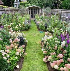 a garden filled with lots of different types of flowers