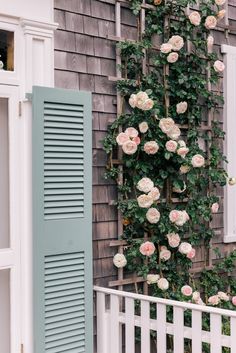 roses are growing on the side of a house