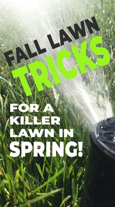 a sprinkler spraying water on grass with the words fall lawn tricks for a killer lawn in spring