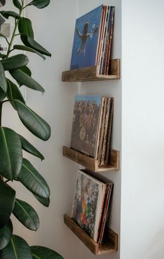 three wooden shelves with books on them next to a potted plant and white wall