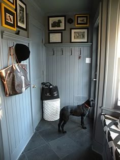 a black dog standing next to a wall with pictures on it's walls and a purse hanging from the door