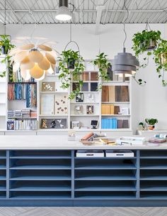 an office with plants hanging from the ceiling and bookshelves on the wall behind it