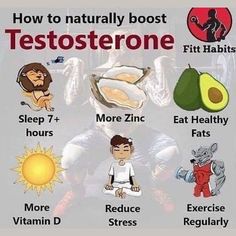 Testosterone Booster Men, Military Workout, Workout Nutrition, Fertility Health, Male Fitness