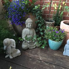 buddha statues sitting on a wooden table next to potted plants