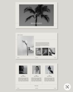 an image of a white and black brochure with palm trees in the background