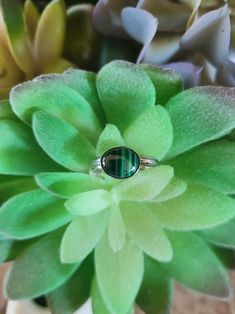 This is a petite Malachite ring. Set in sterling silver.  The ring measures .34  of an inch tall by .42  of an inch wide.    Size 7 I try to show the colors of our work as true as possible but monitors do differ.  Please ask if you have and questions. Please look at our other Sterling Silver Jewelry here: https://www.etsy.com/shop/GemSalad/search?search_query=Sterling+silver+jewelry&order=date_desc&view_type=gallery&ref=shop_search Thank you for looking in our shop. Silver Malachite Rings As Gift, Oval Green Malachite Jewelry, Malachite Round Gemstone Jewelry, Round Malachite Fine Jewelry, Handmade Silver Malachite Rings, Malachite Rings, Green Stone Rings, Pinky Ring, Green Stone