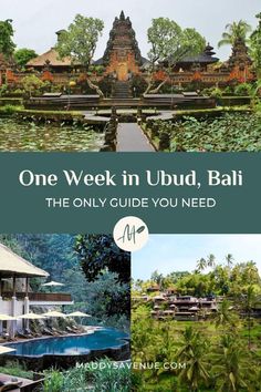 one week in ubud, bali the only guide you need