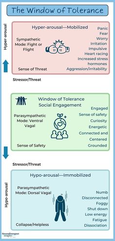 Hyperarousal Strategies, Windows Of Tolerance, Window Of Tolerance Activities, Counselling Tools, Cbt Therapy, Dialectical Behavior Therapy