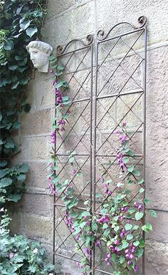 an iron garden trellis with purple flowers growing on it's sides, next to a brick wall