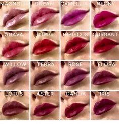 Arbonne Party, Lipstick Colours, Arbonne Consultant, Arbonne Recipes, Arbonne Makeup, Arbonne Business, Makeup Professional, Seize The Day, Independent Consultant