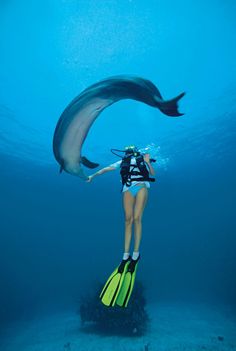 a woman standing on a surfboard in the ocean with a dolphin swimming by her