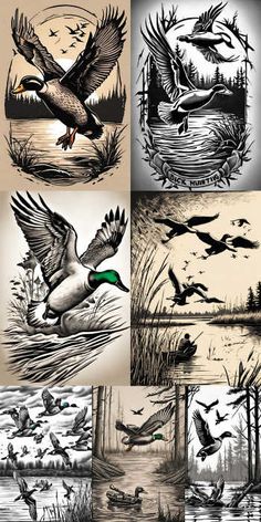 several different kinds of birds flying over water