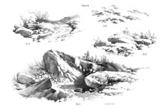 an ink drawing of rocks and trees