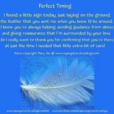 a blue background with a white feather and the words perfect time written in front of it