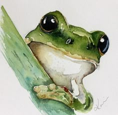 a watercolor painting of a frog resting on a leaf