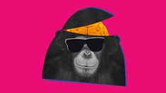 a monkey wearing sunglasses and a hat with cheese on it's head in front of a pink background