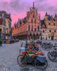 many bicycles are parked in front of an old building with flowers on the ground and people walking around