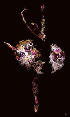 an artistic photograph of a flower on a black background