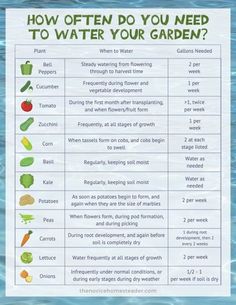 a poster explaining how often you need to water your garden in the spring or summer