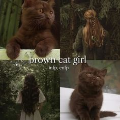 brown cat girl, cr. on tik tok. NOT MINE! #mbtiaesthetic #infp #enfp #fall Mediator Aesthetic, Enfp Core Aesthetic, Infp Girl, Intp 5w6, Enfp Core, Infp Vibes, Infp Aesthetic, Personality Types Test