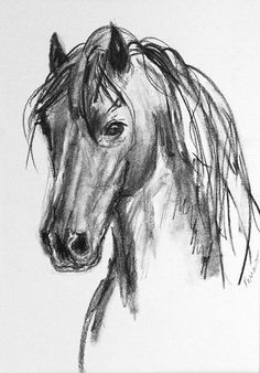 a black and white drawing of a horse's head with hair blowing in the wind